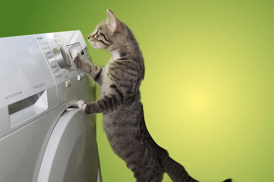 Dryer-Repair--in-Vaughn-Washington-Dryer-Repair-1600180-image
