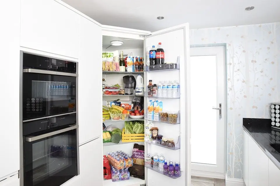 Refrigerator-Repair--in-Poulsbo-Washington-Refrigerator-Repair-1611960-image